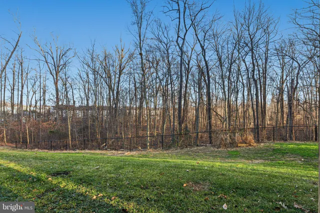 a view of backyard with fountain