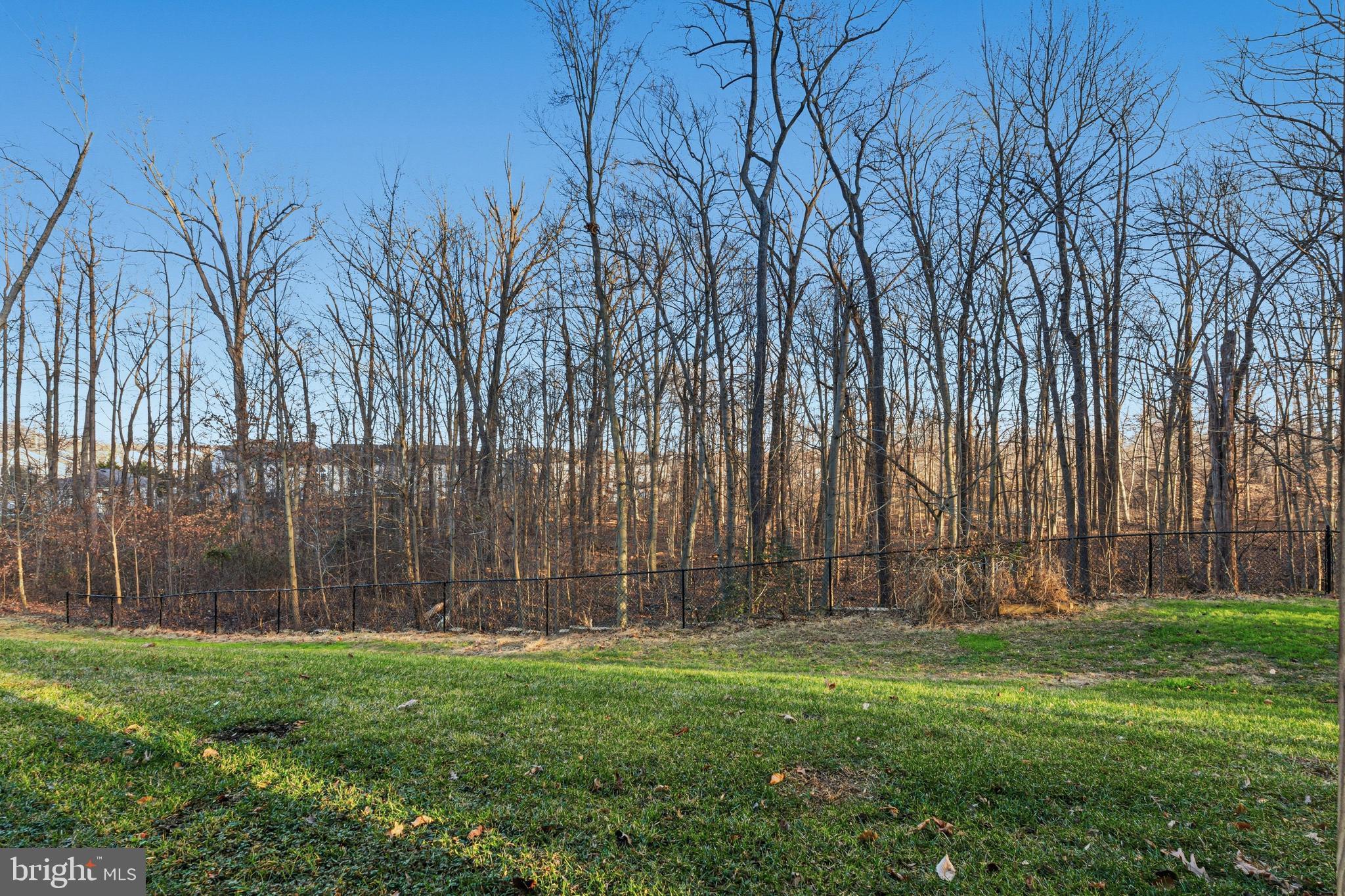 617 English Ivy Way Aberdeen, MD 21001 - Photo 6 of 35 a view of backyard with fountain