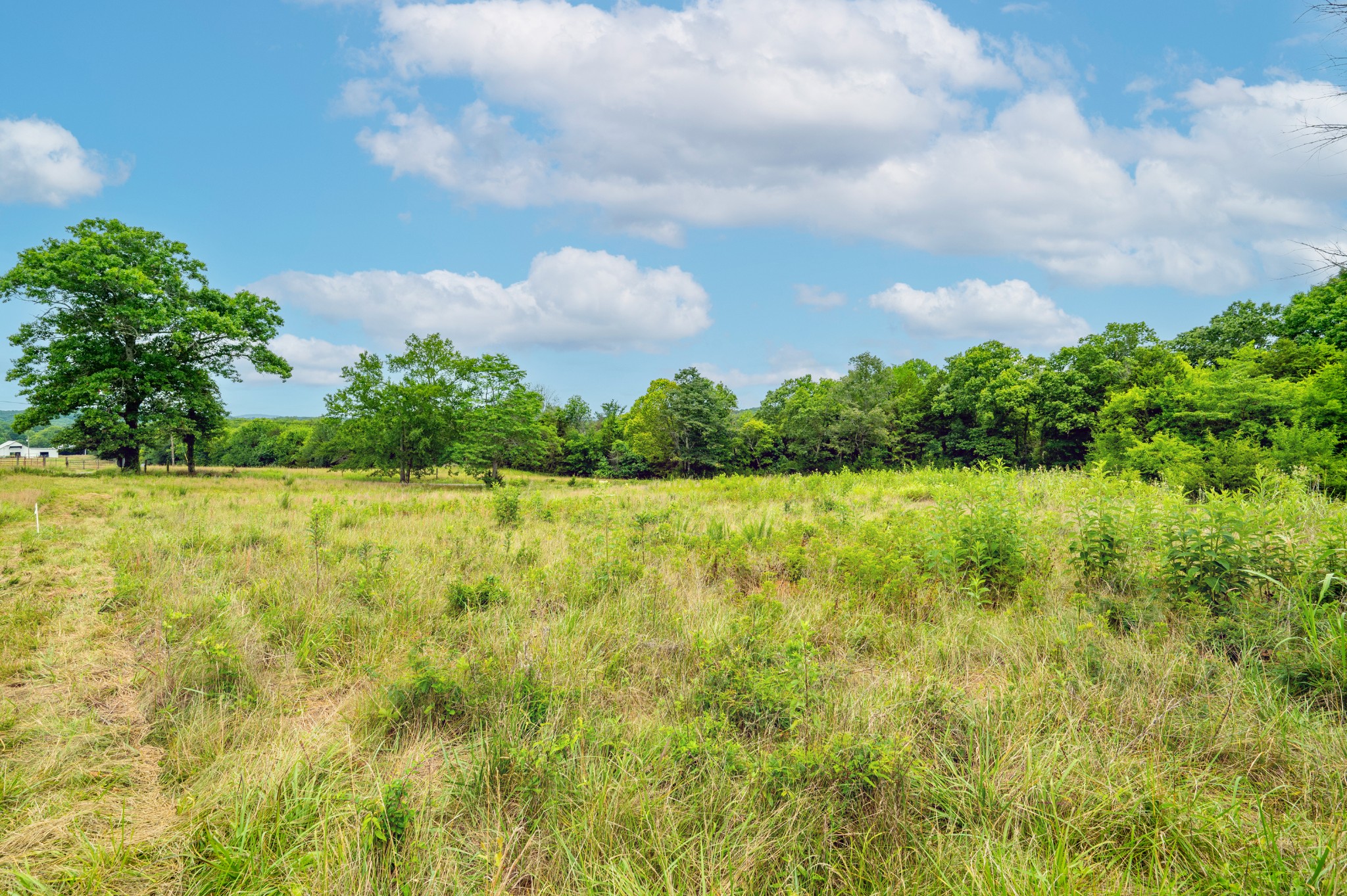 0 Haley Road Watertown, TN 37184 - Photo 4 of 18