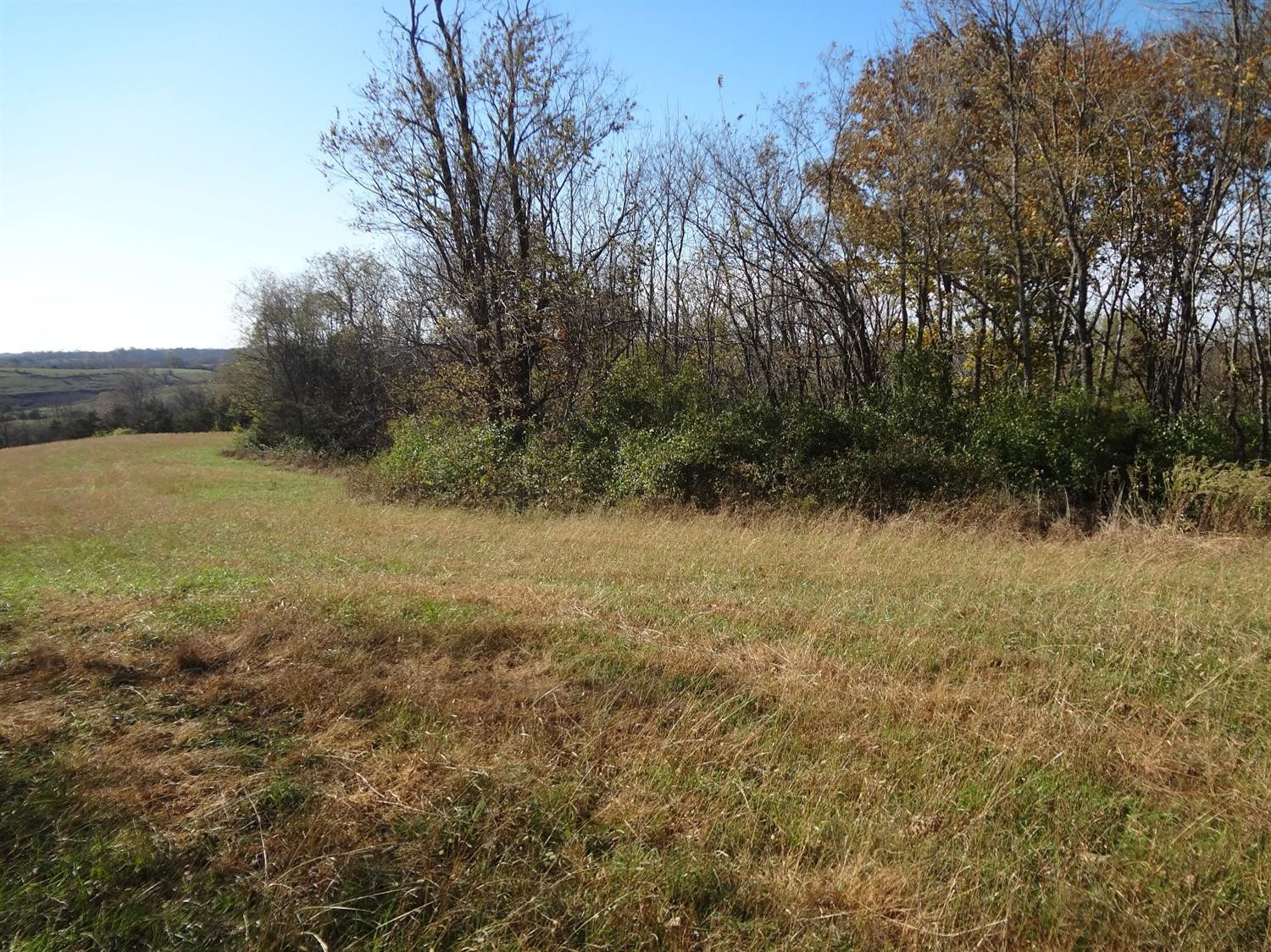 3310 Irvine Road Winchester, KY 40391 - Photo 6 of 19 Listing Photo