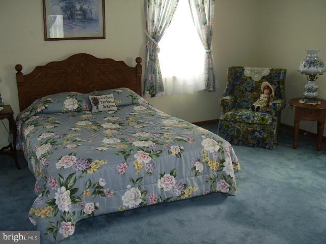 170 Ridge Road Rising Sun, MD 21911 - Photo 20 of 22 Bedroom (Master)