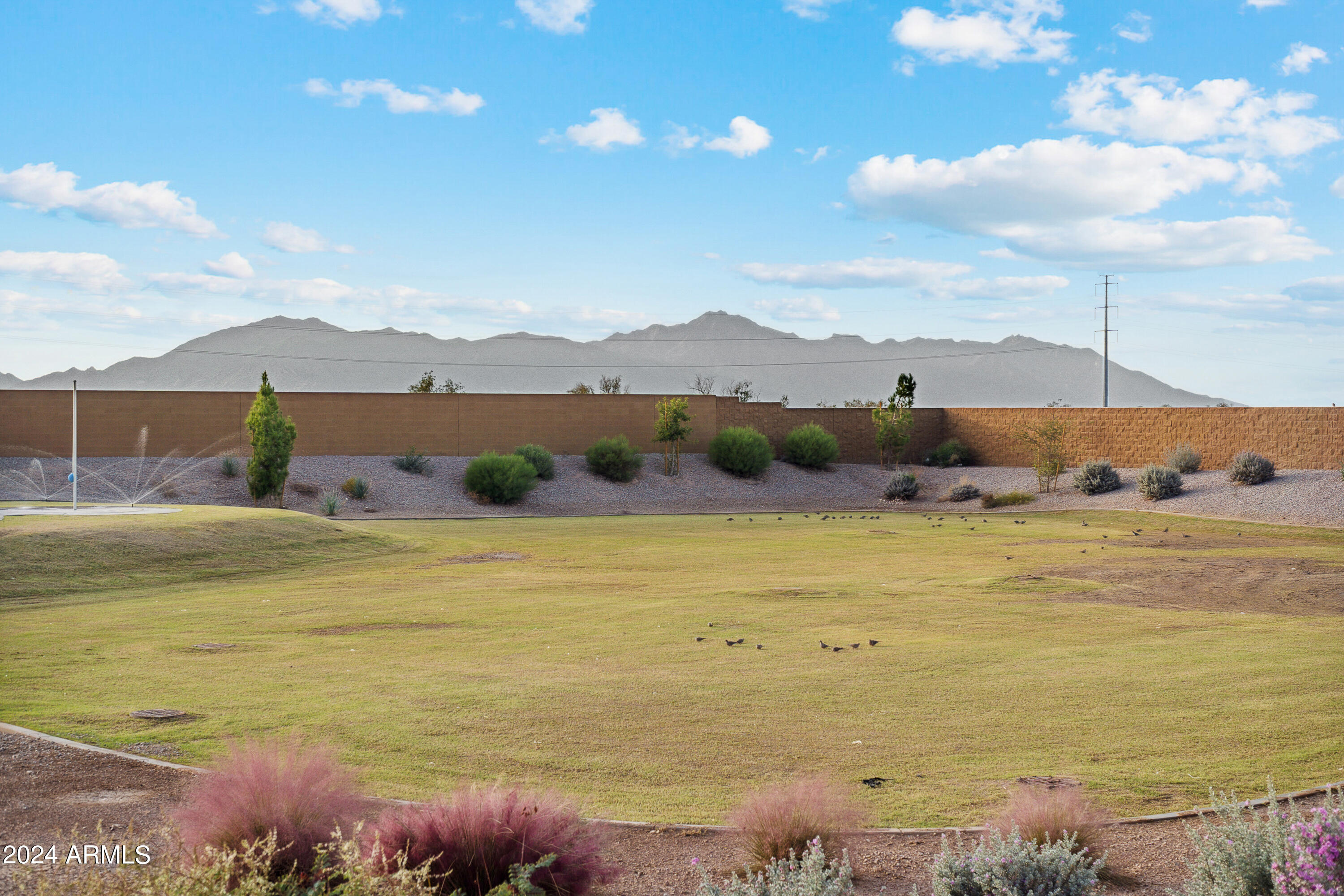 39980 West Agave Road Maricopa, AZ 85138 - Photo 24 of 32 DSC00045