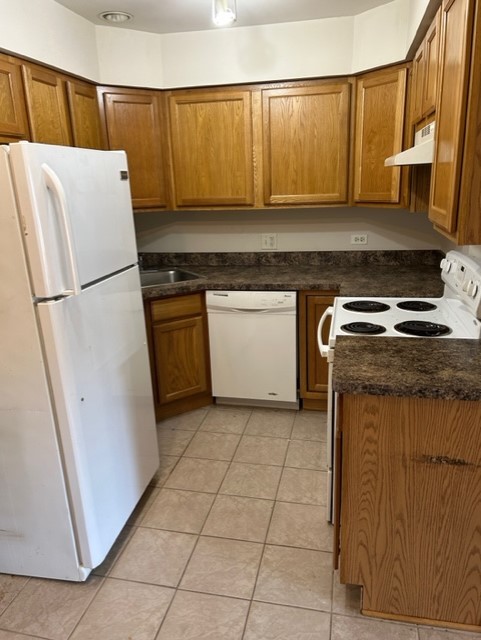 10620 Brooks Lane, Unit 2C2 Chicago Ridge, IL 60415 - Photo 7 of 12 a kitchen with a refrigerator sink and cabinets