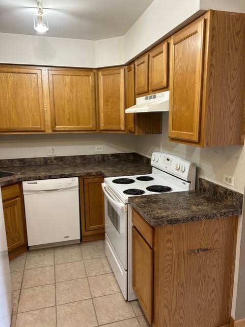 10620 Brooks Lane, Unit 2C2 Chicago Ridge, IL 60415 - Photo 8 of 12 a kitchen with a stove a sink and a microwave