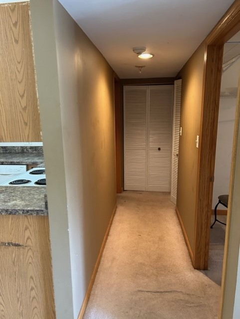10620 Brooks Lane, Unit 2C2 Chicago Ridge, IL 60415 - Photo 9 of 12 a view of a hallway