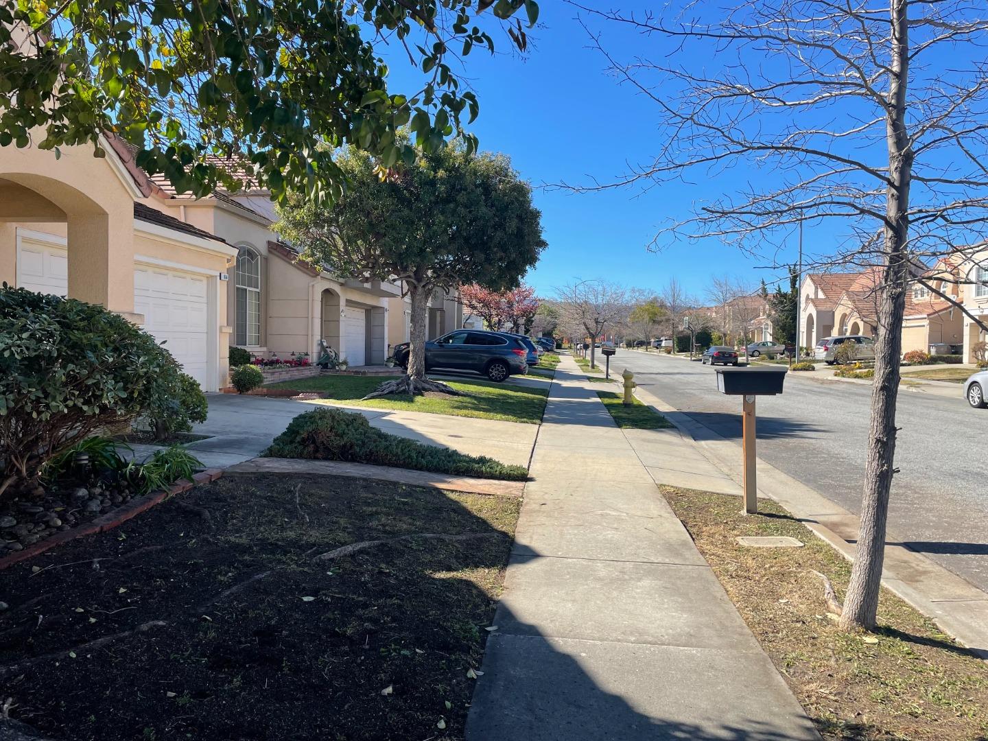 1656 Klipspringer Drive San Jose, CA 95124 - Photo 18 of 19 a view of a yard with plants and trees