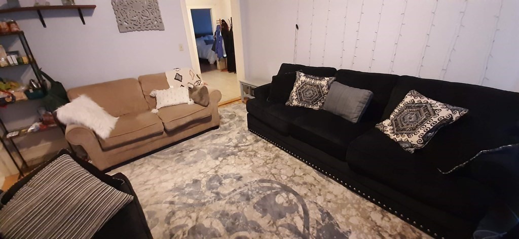 7 Priscilla Road Boston, MA 02135 - Photo 29 of 37 Gallery Image 29