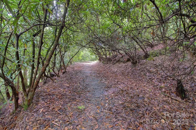 a view of backyard with green space
