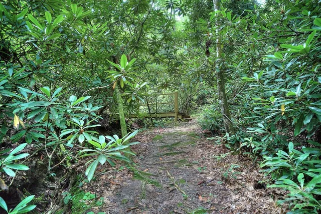 a view of a balcony with wooden fence and plants