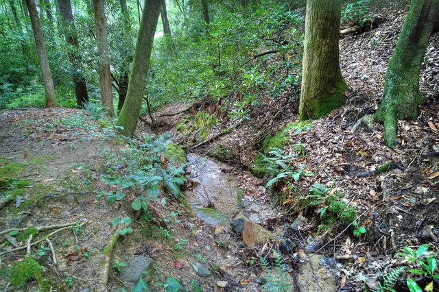 $590,000 | 554 Pisgah Forest Drive, Pisgah Forest, NC 28768