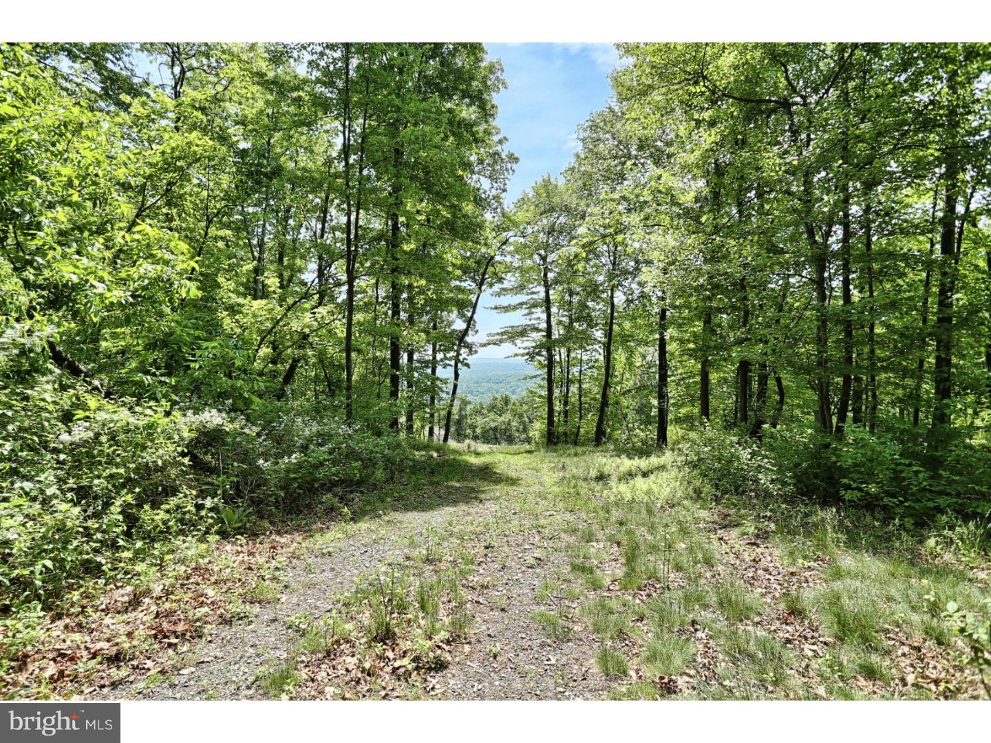 146 Overlook Road Morgantown, PA 19543 - Photo 2 of 11 Gallery Image 2