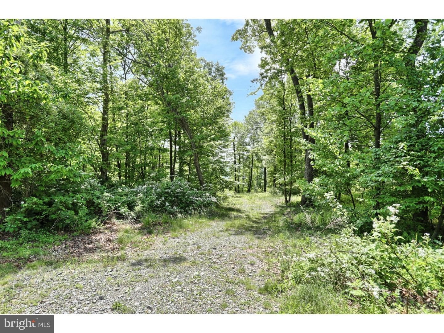 146 Overlook Road Morgantown, PA 19543 - Photo 3 of 11 Gallery Image 3