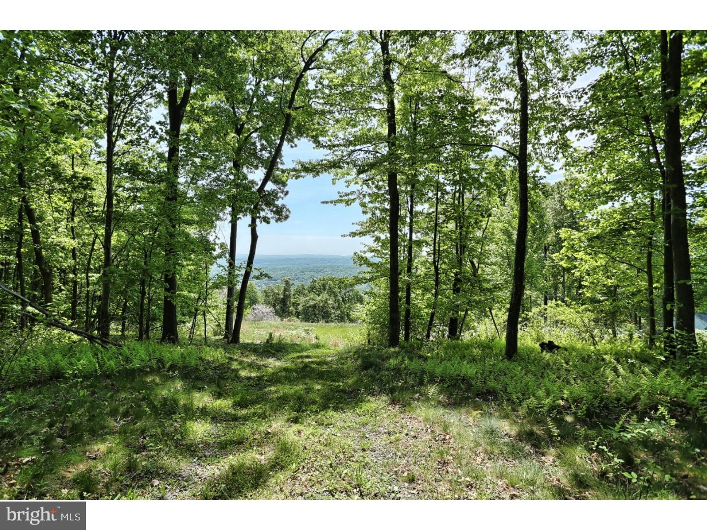 146 Overlook Road Morgantown, PA 19543 - Photo 4 of 11 Gallery Image 4