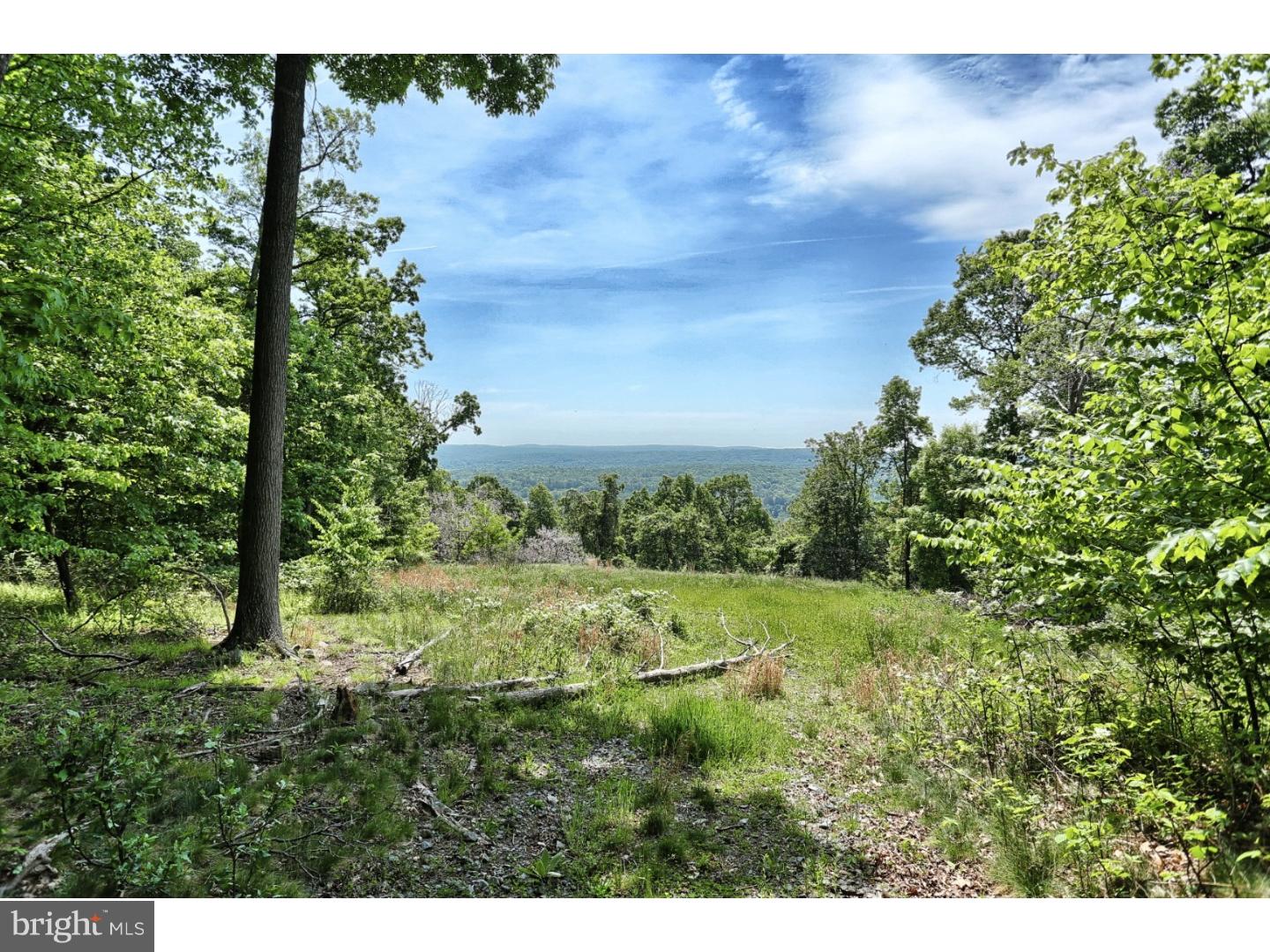146 Overlook Road Morgantown, PA 19543 - Photo 5 of 11 Gallery Image 5