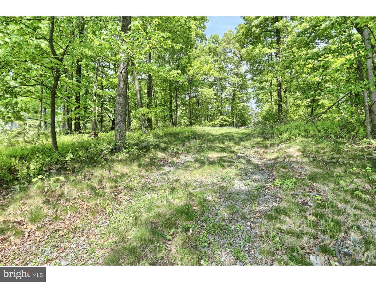 146 Overlook Road Morgantown, PA 19543 - Photo 7 of 11 Gallery Image 7