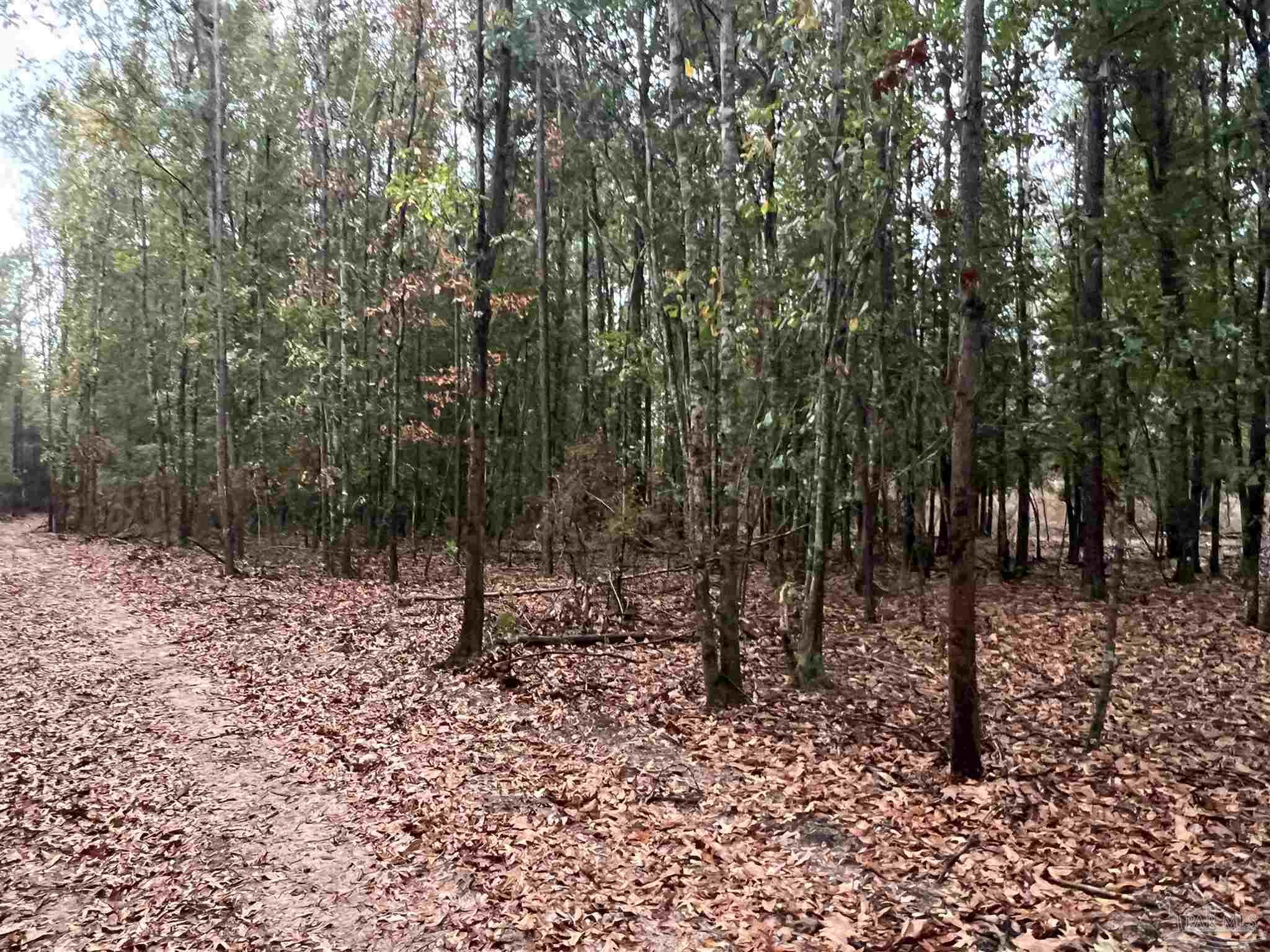 Lot 16 Pineview Church Road Jay, FL 32565 - Photo 2 of 5