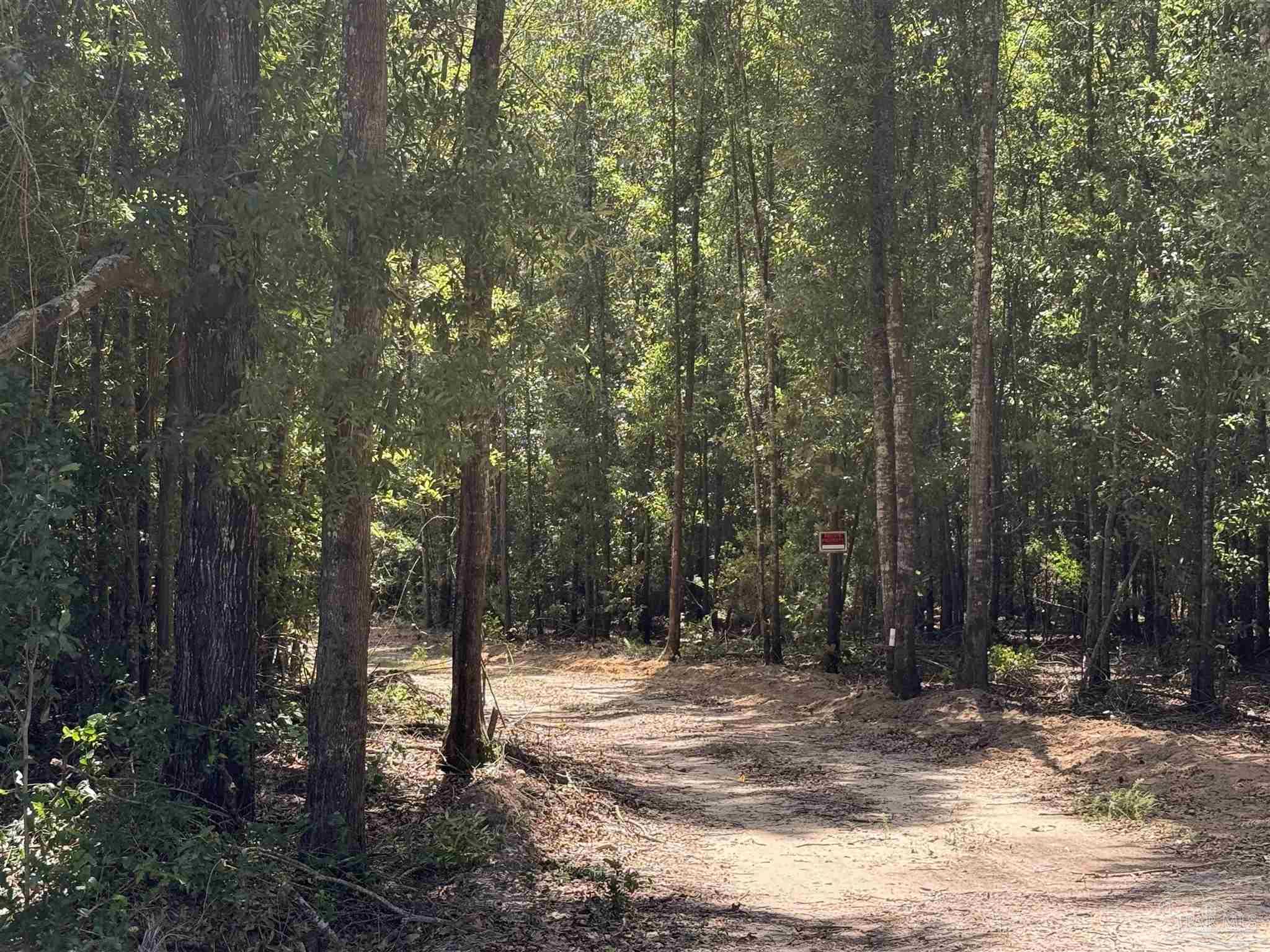 Lot 16 Pineview Church Road Jay, FL 32565 - Photo 4 of 5