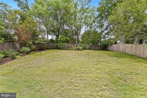 a view of a yard with a large trees