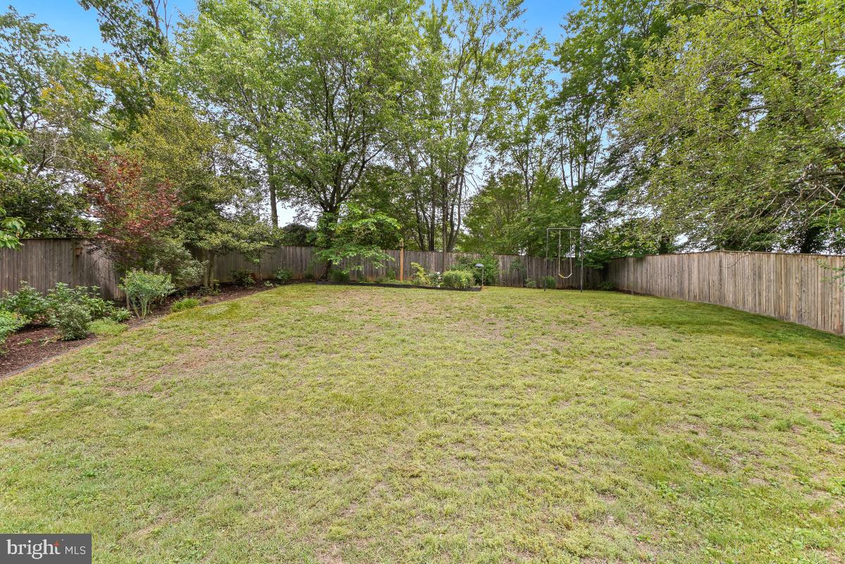 827 Caddington Avenue Silver Spring, MD 20901 - Photo 41 of 45 a view of a yard with a large trees