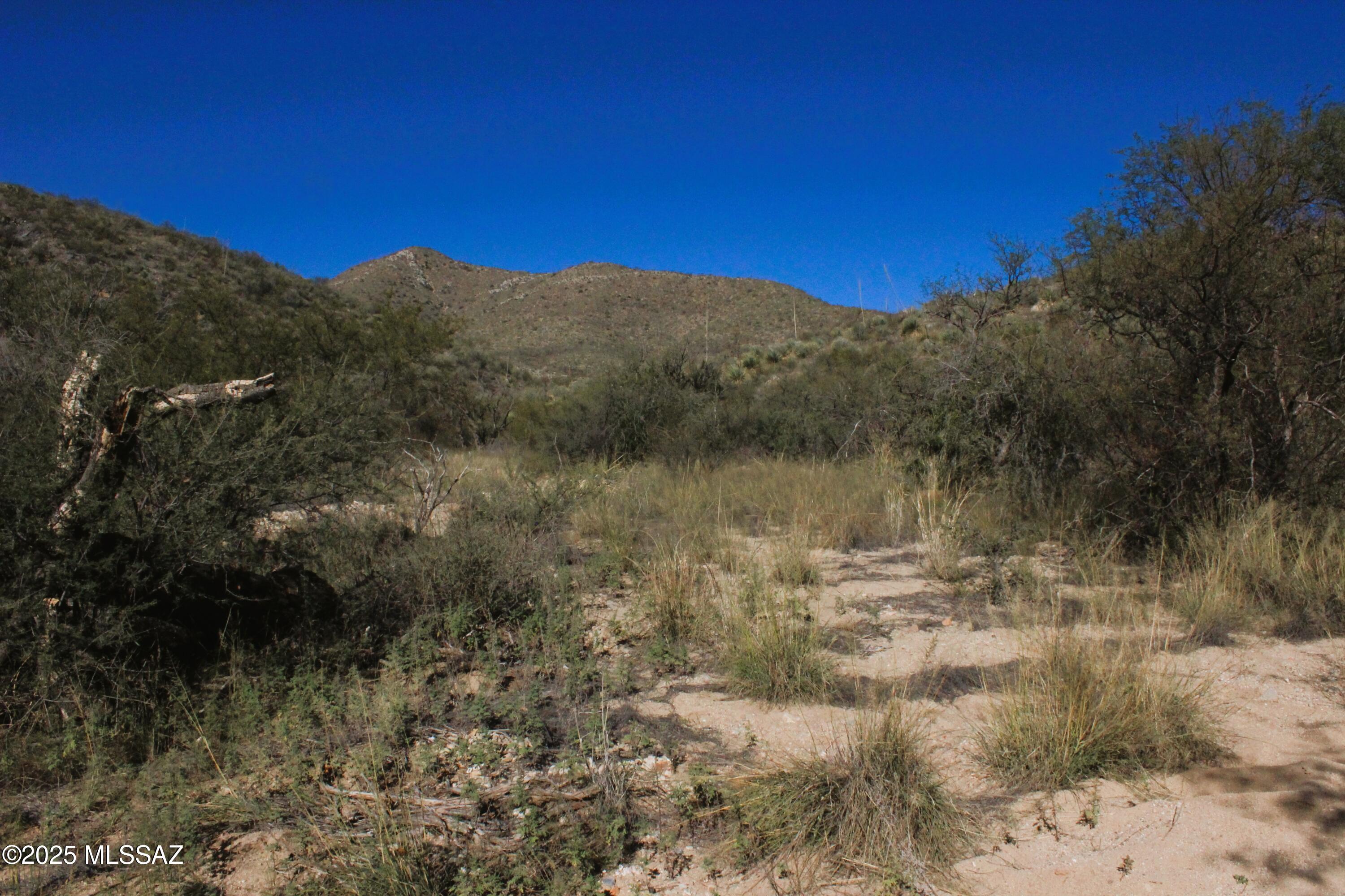 21175 South Red Cloud Mine Road Vail, AZ 85641 - Photo 4 of 9