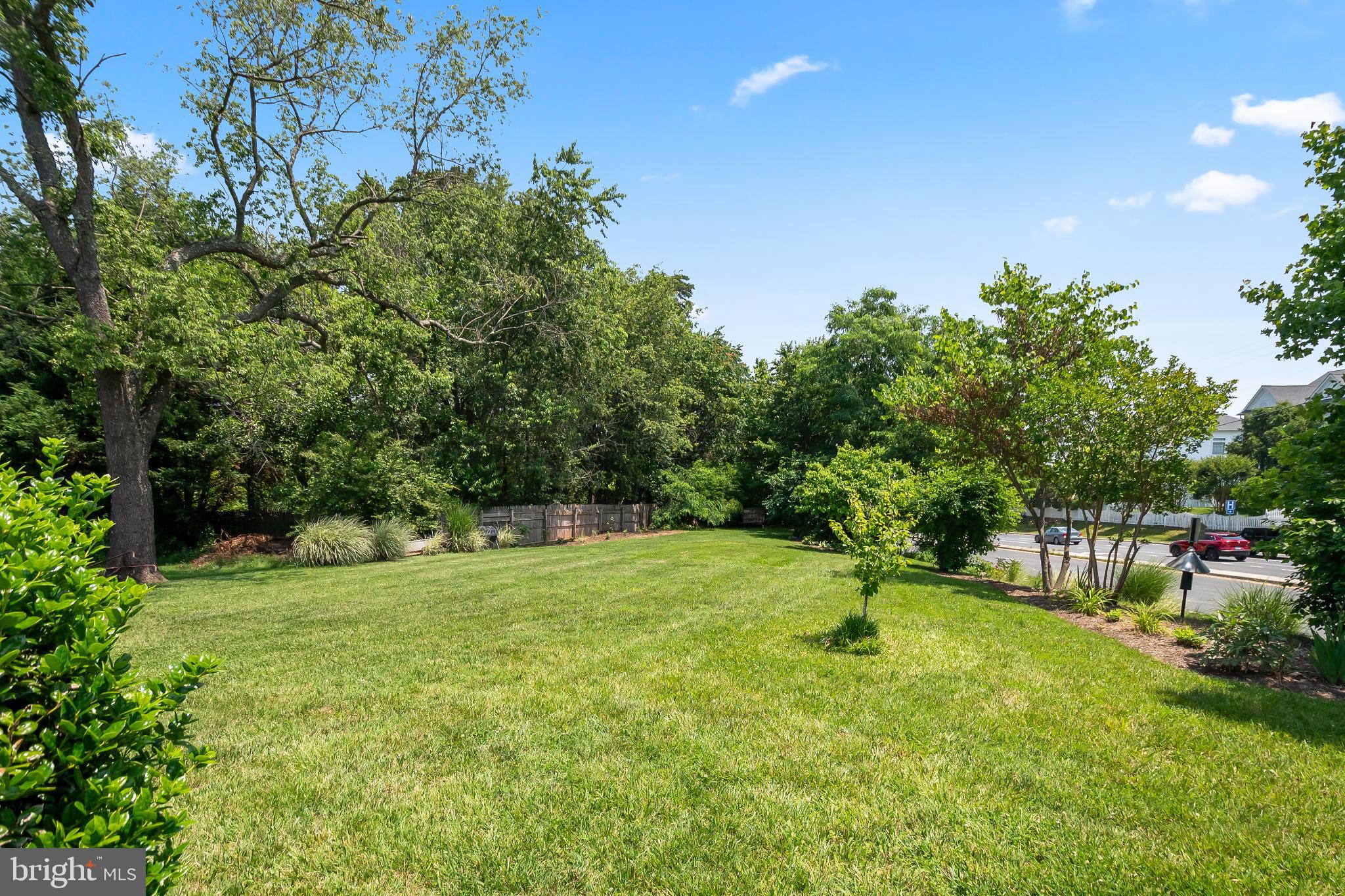 9211 Ox Road Lorton, VA 22079 - Photo 43 of 44 a ground with lots of trees and plants