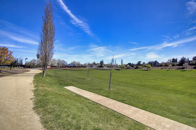 a view of park with large trees