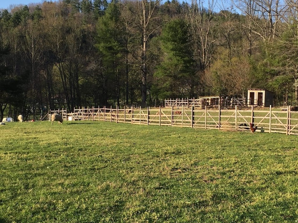 4821 Cates Road Hartford, TN 37753 - Photo 6 of 30 Gallery Image 6