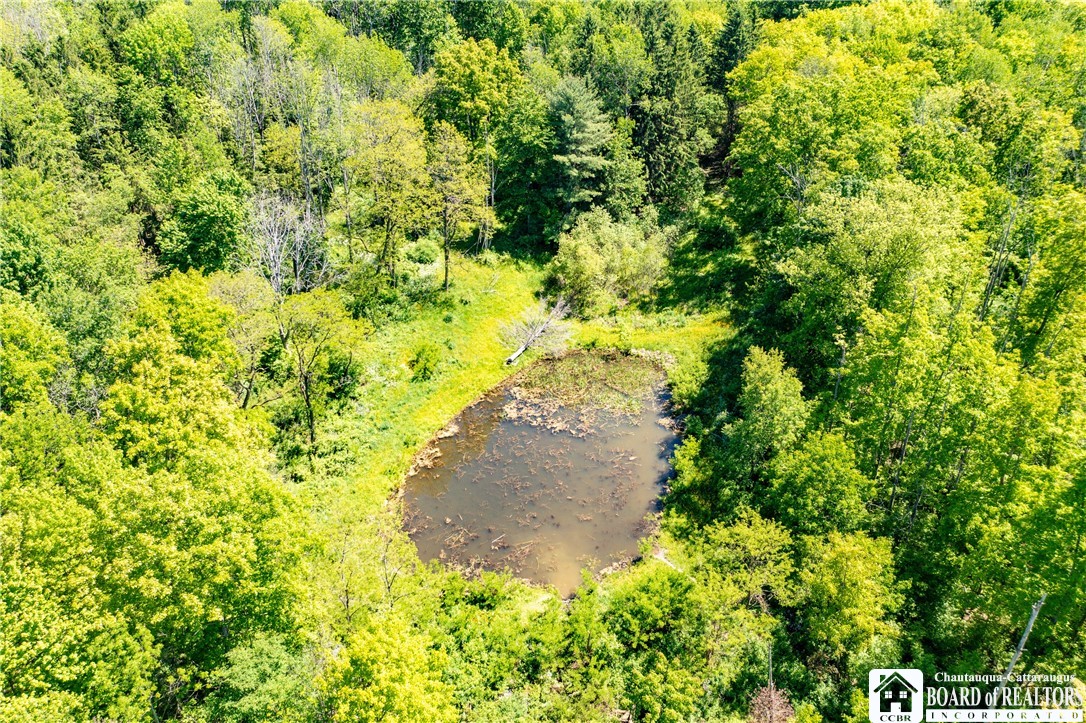 532 Eccles Road Kennedy, NY 14747 - Photo 29 of 29
