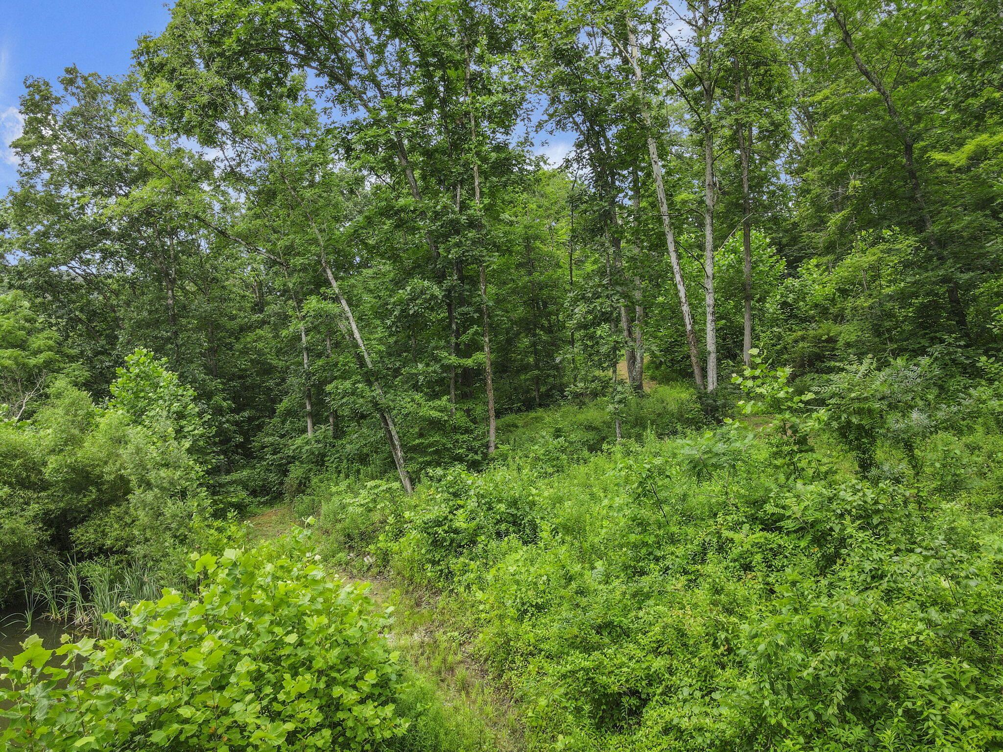 0 Greens Run Road Glouster, OH 45732 - Photo 96 of 121 96-web-or-mls-DJI_0384