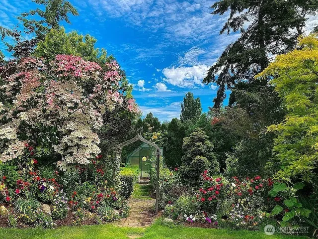 a picture of flowers