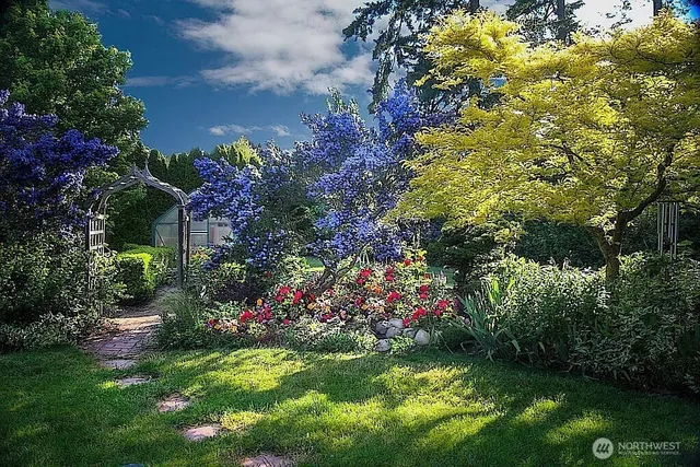 a view of a garden with plants and large trees