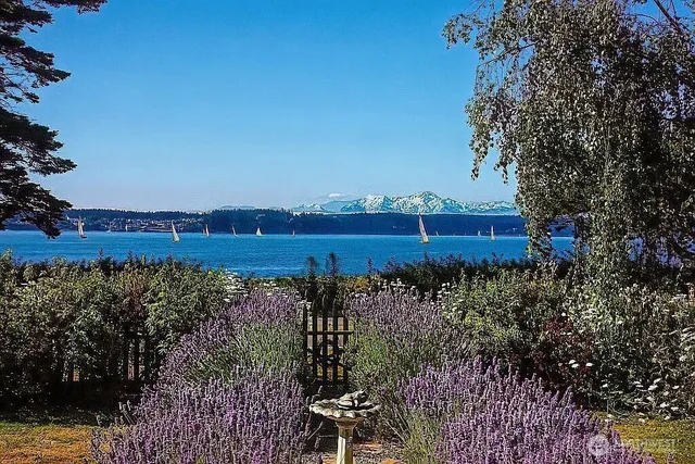 a view of a garden with a tree