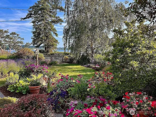 a view of a flower in a garden