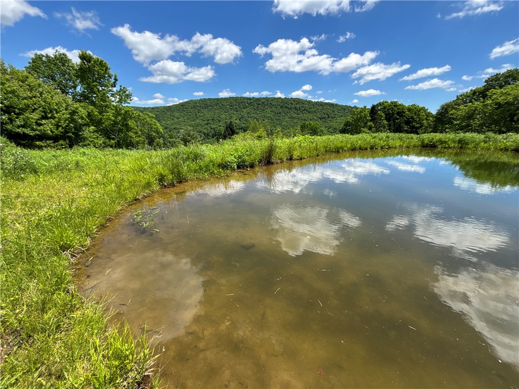 2613 Murphy Hill Road Andes, NY 13731 - Photo 20 of 35