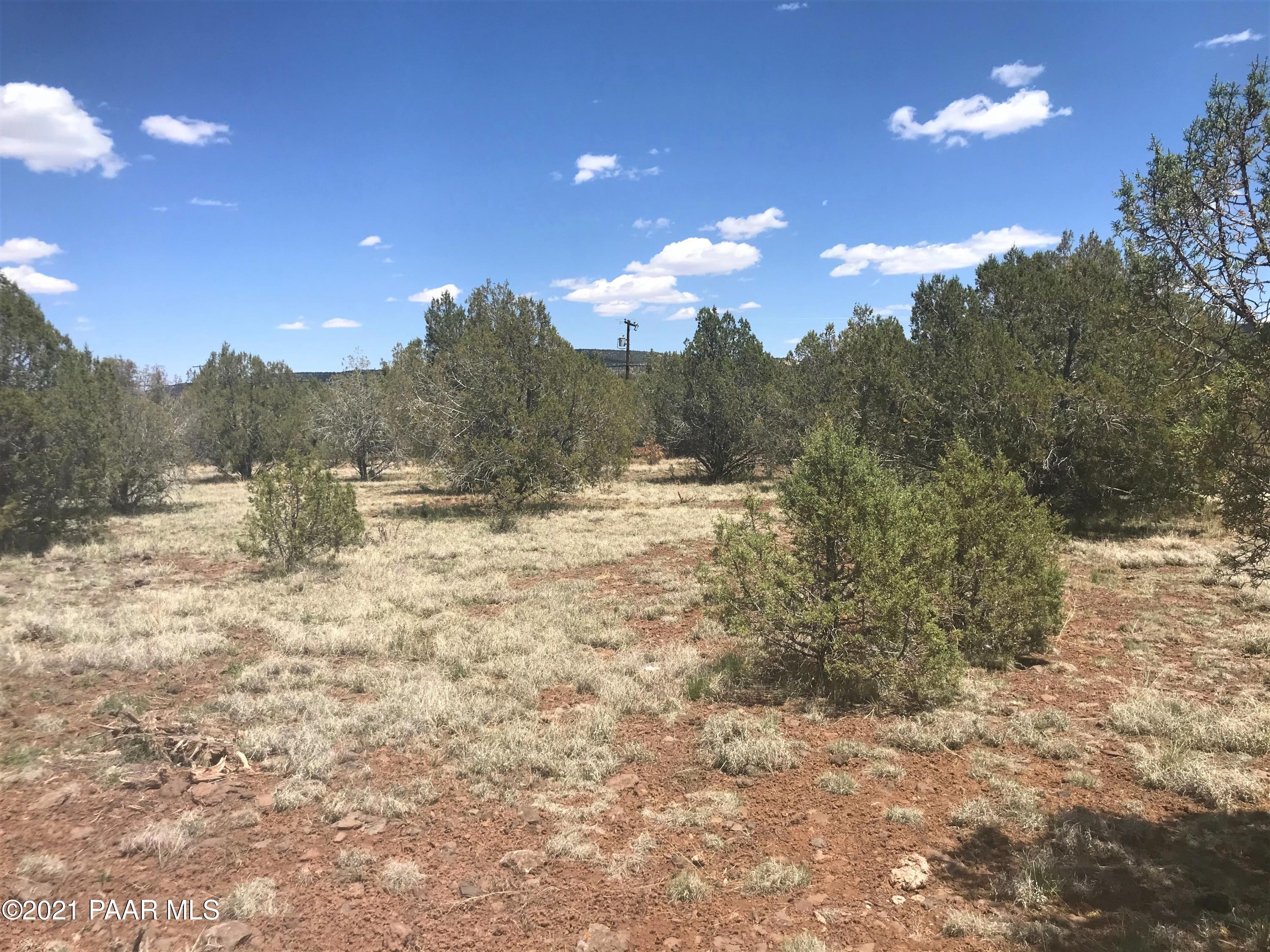 4091 North Double A Rnch Road Williams, AZ 86046 - Photo 2 of 8 a view of a yard with mountains in the background