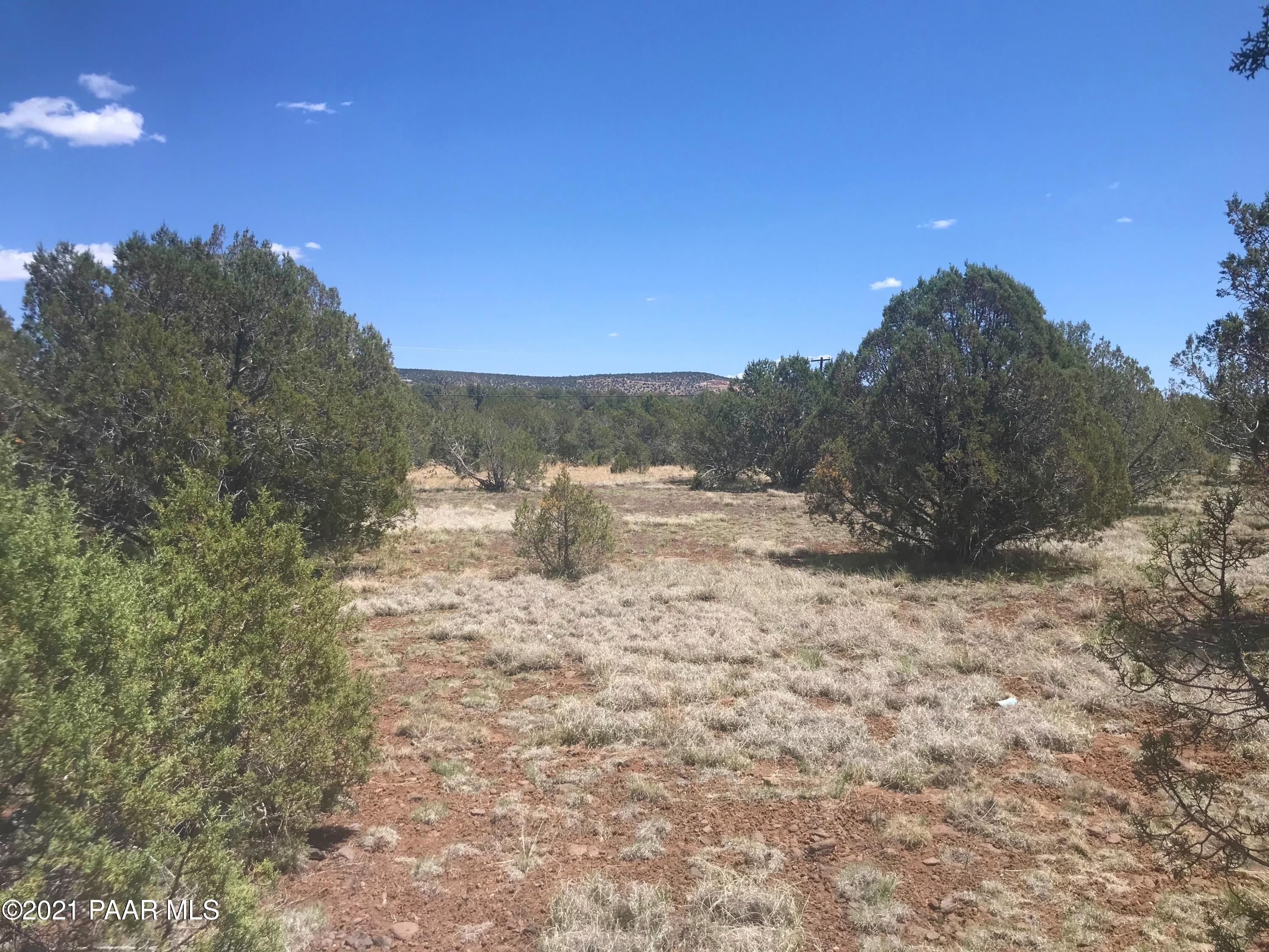 4091 North Double A Rnch Road Williams, AZ 86046 - Photo 3 of 8 a view of a dry yard with trees
