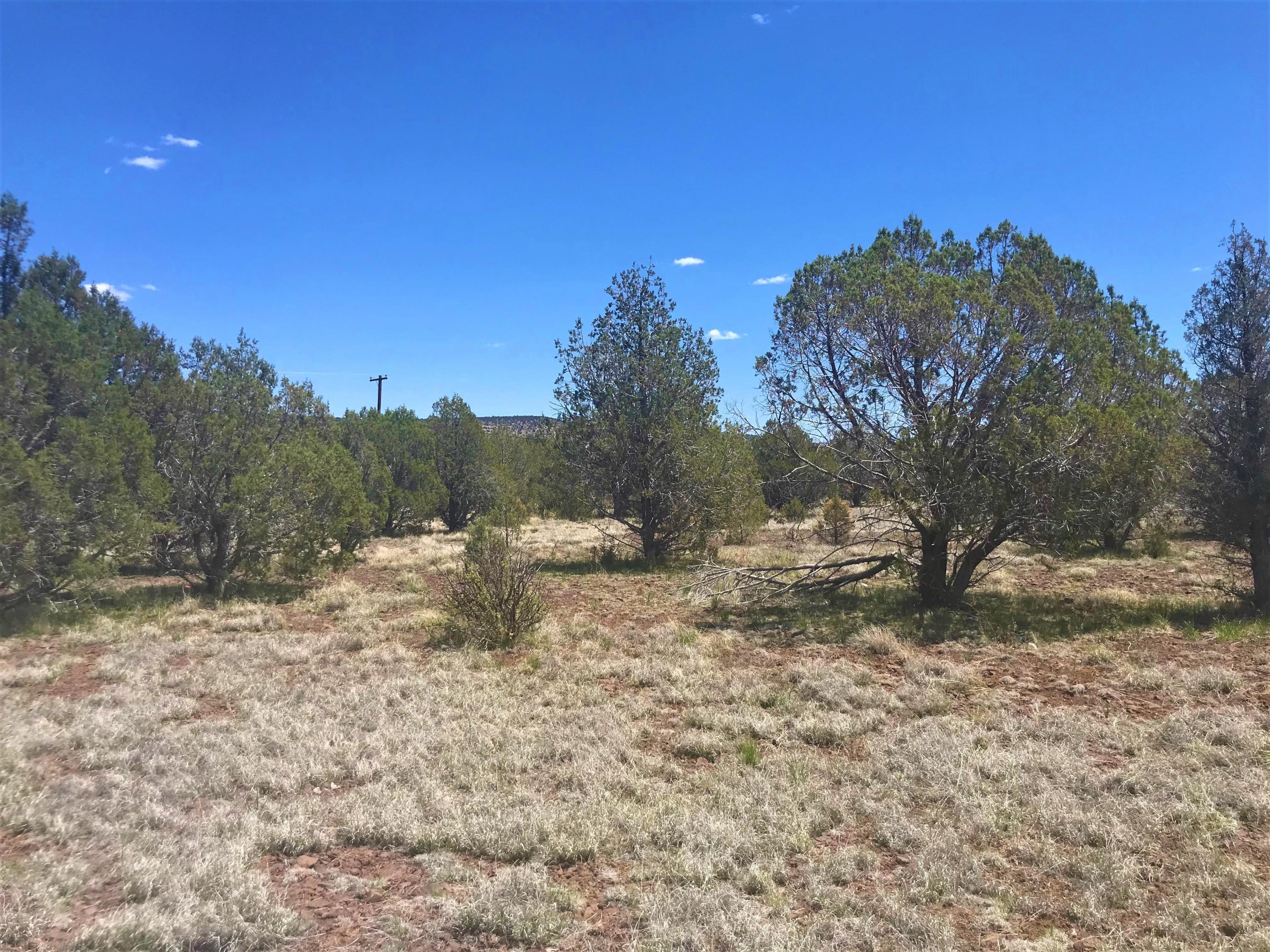4091 North Double A Rnch Road Williams, AZ 86046 - Photo 5 of 8 a view of a yard with a tree
