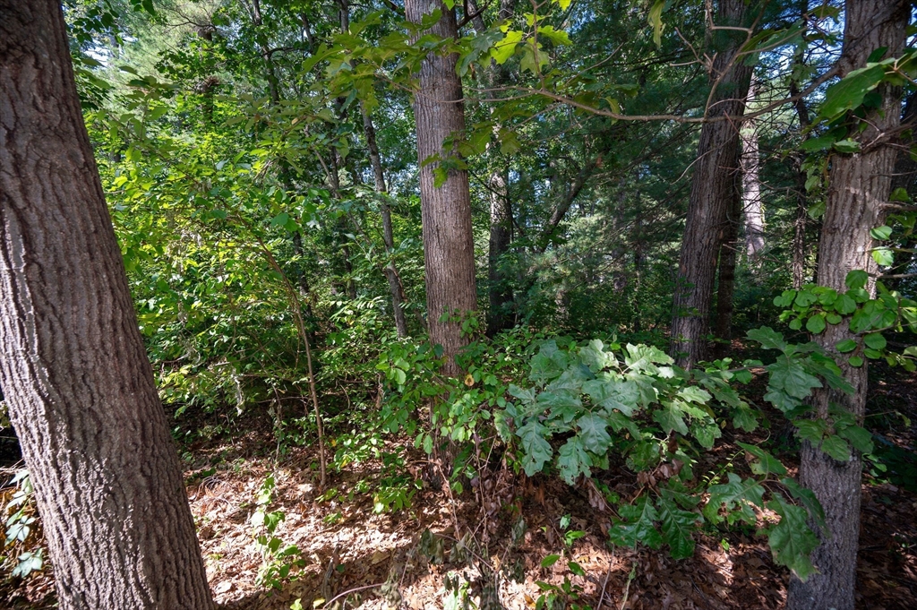 Lot 54 Beverly Road Billerica, MA 01821 - Photo 12 of 28