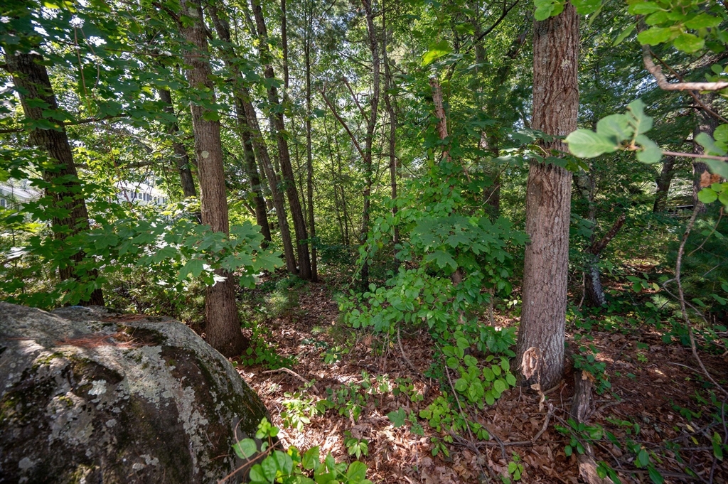 Lot 54 Beverly Road Billerica, MA 01821 - Photo 14 of 28