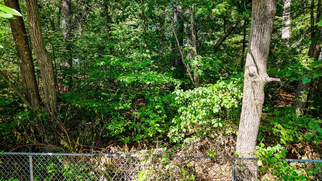 Lot 54 Beverly Road Billerica, MA 01821 - Photo 3 of 28