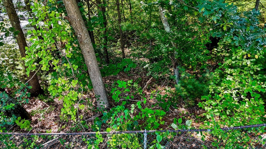 Lot 54 Beverly Road Billerica, MA 01821 - Photo 6 of 28