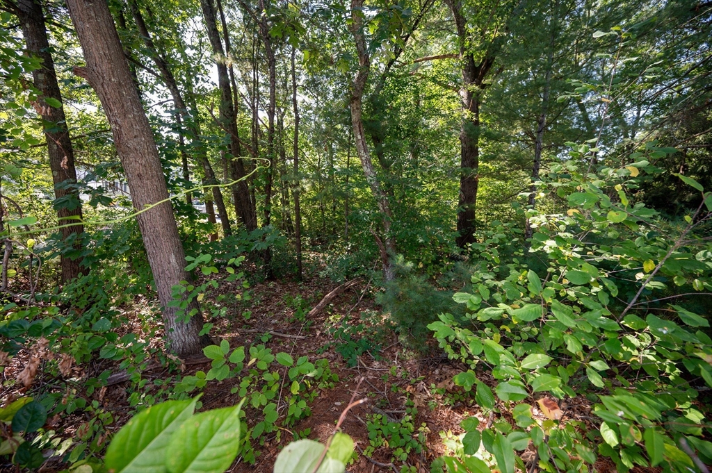 Lot 54 Beverly Road Billerica, MA 01821 - Photo 8 of 28