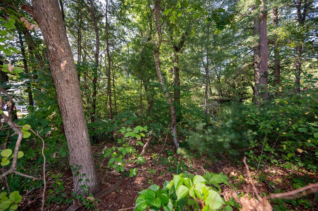 Lot 54 Beverly Road Billerica, MA 01821 - Photo 10 of 28