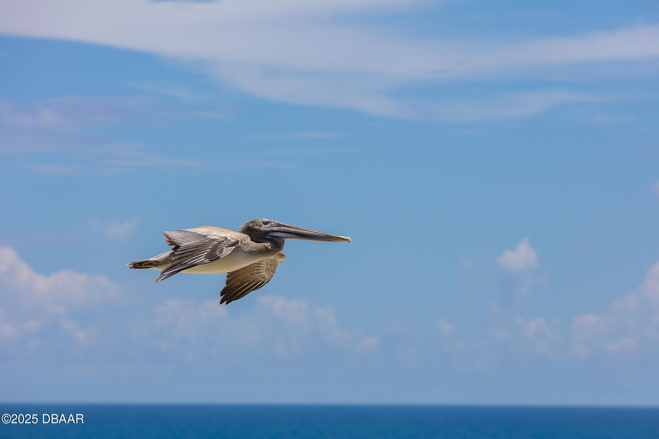 4545 South Atlantic Avenue, Unit 3704 Ponce Inlet, FL 32127 - Photo 66 of 66 SCHEDULE A PRIVATE SHOWING TODAY