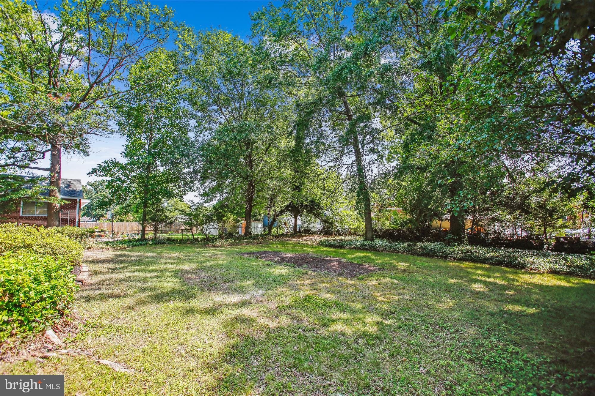 5909 Frederick Street Springfield, VA 22150 - Photo 49 of 62 a big yard with trees