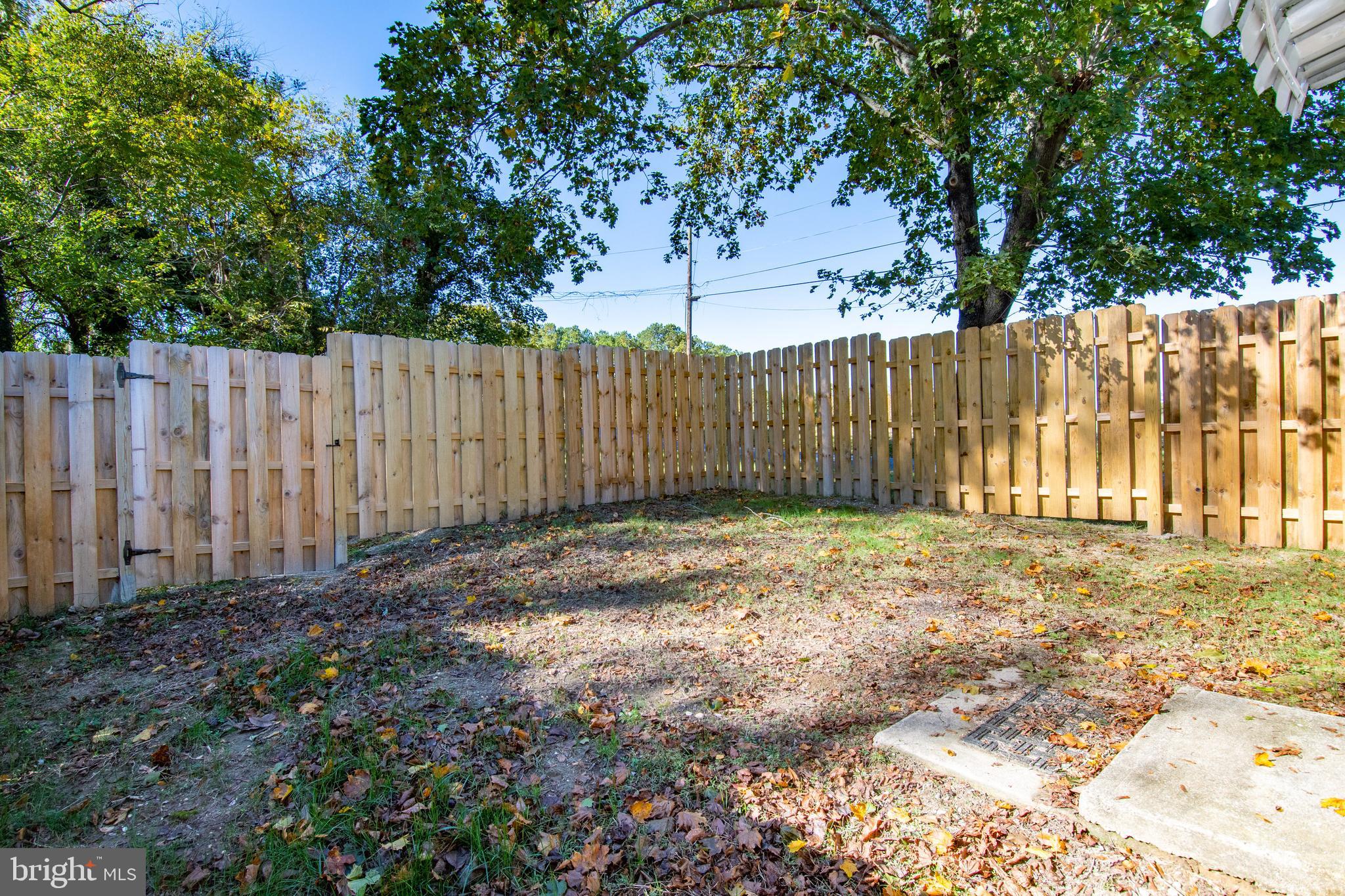 25461 Pines Road Worton, MD 21678 - Photo 10 of 29 Gallery Image 10