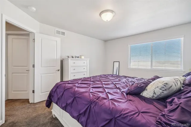 a bedroom with a bed and closet