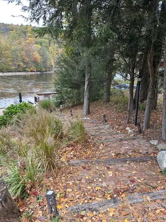 a view of a yard with a tree
