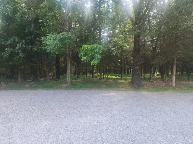 a view of a house with a park