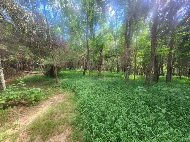 a view of a garden with a tree